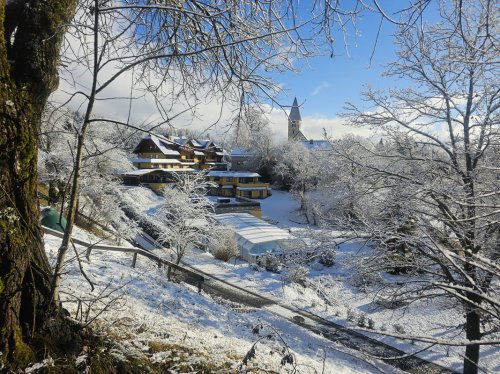 Hotel Karnischer Hof - Korutany - Rakousko, Nassfeld - Lyžařské zájezdy