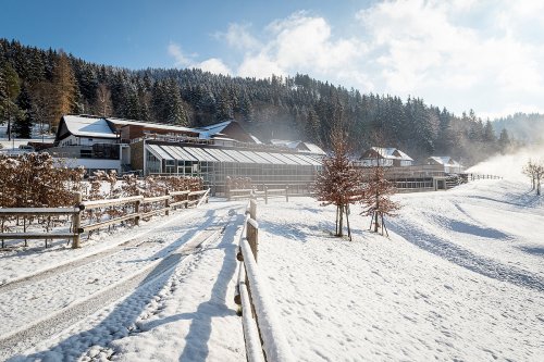 Wellness Hotel Horal - Beskydy - Česká republika, Velké Karlovice - Lyžařské zájezdy